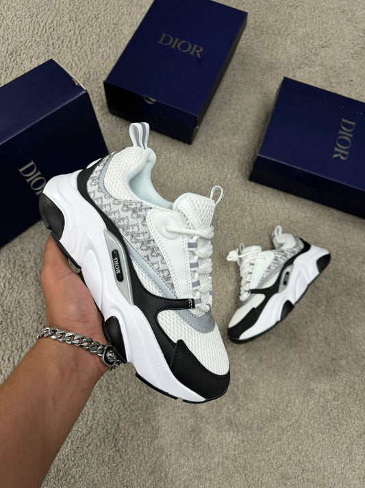 DIOR B22