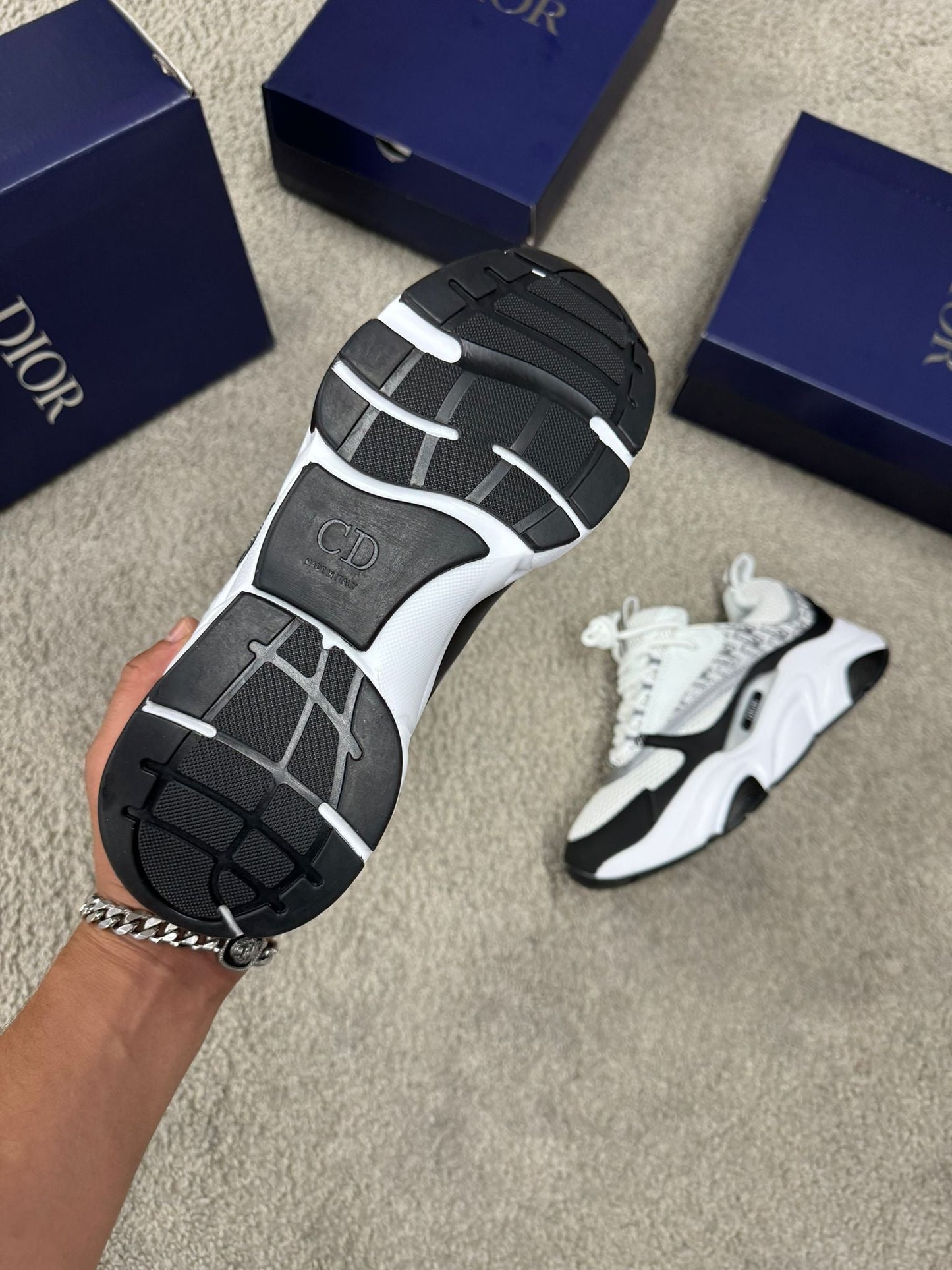 DIOR B22