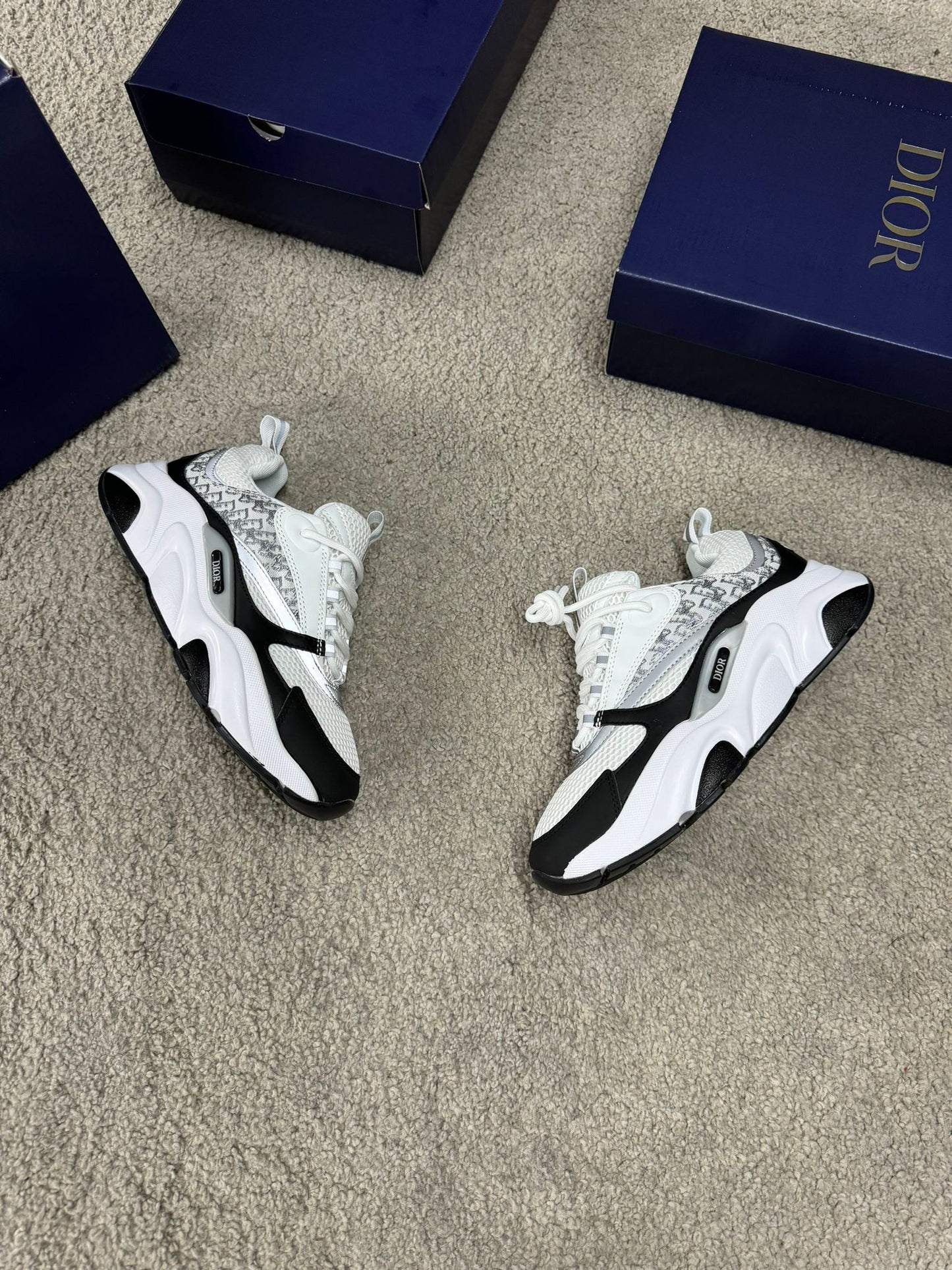 DIOR B22