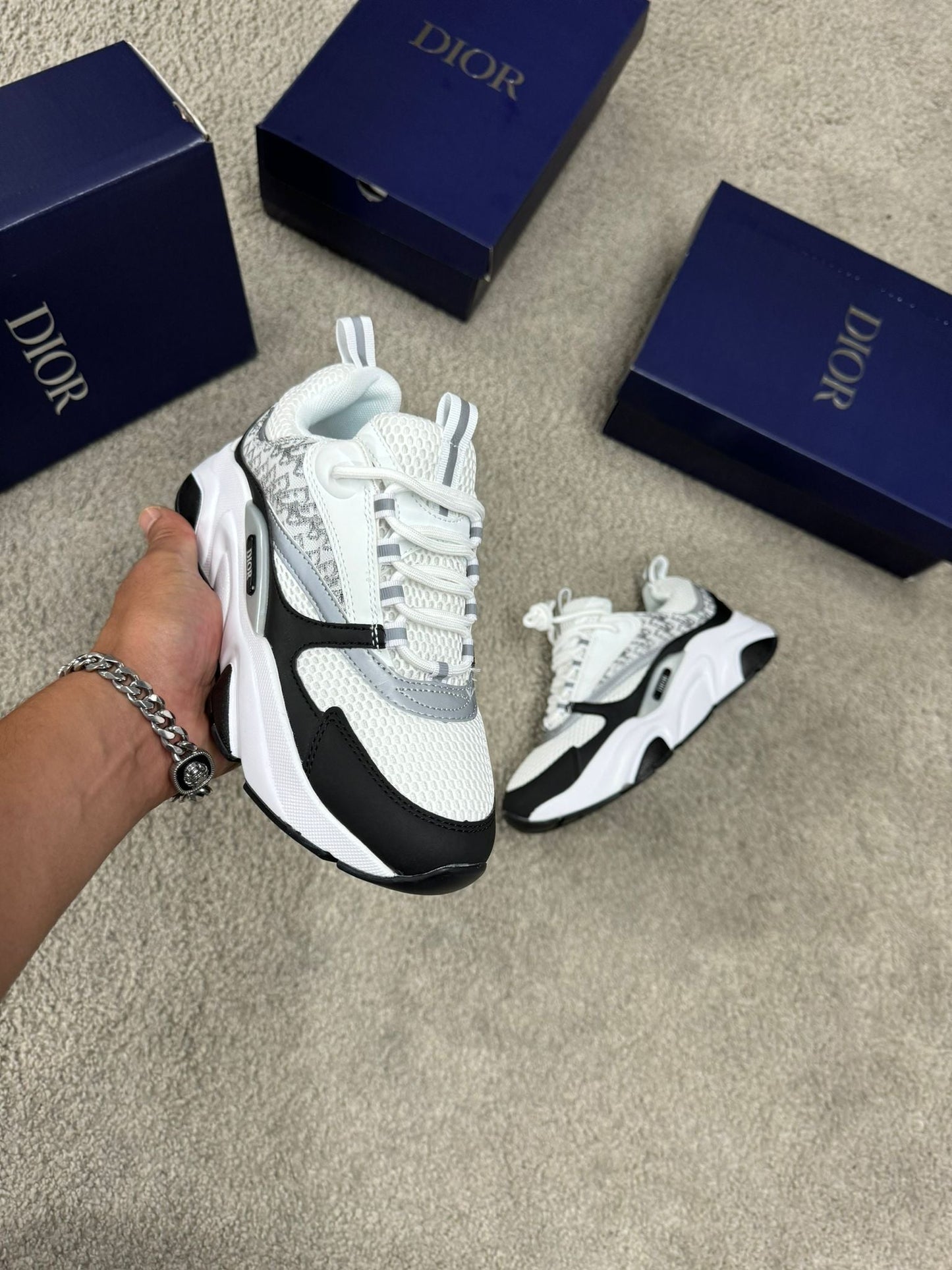 DIOR B22